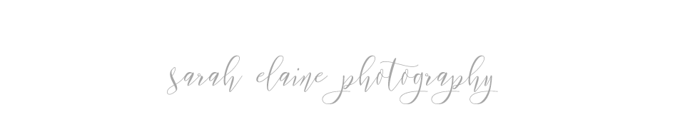 Sarah Elaine Photography logo